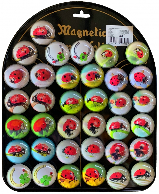 Magnety dekorační - Magnet 3,5cm beruška PK19-85