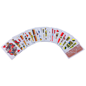 Karty hrací+plast.box PK14-22